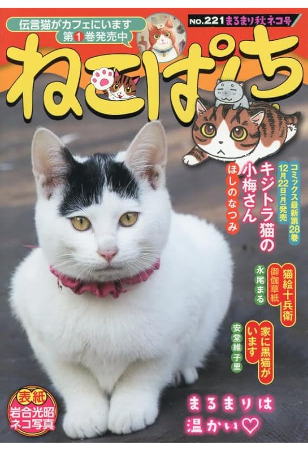 ねこぱんち 夏の花火と涼みネコ号 (にゃんCOMI) | アンソロジー |本